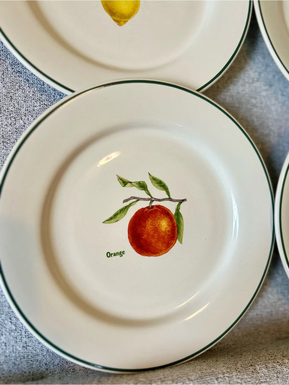Vintage Ulster Fruit Illustration Plates - Farmhouse Wall Decor, Set of 4